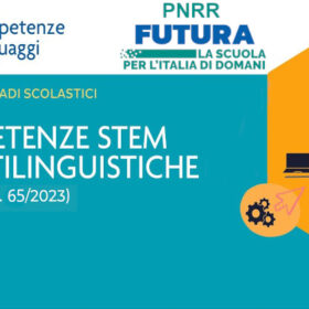 Competernze-STEM-multilinghistiche-DM65